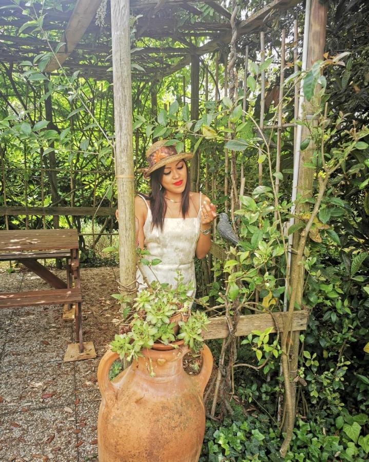 La Casa Dei Nonni Villa Larciano ภายนอก รูปภาพ