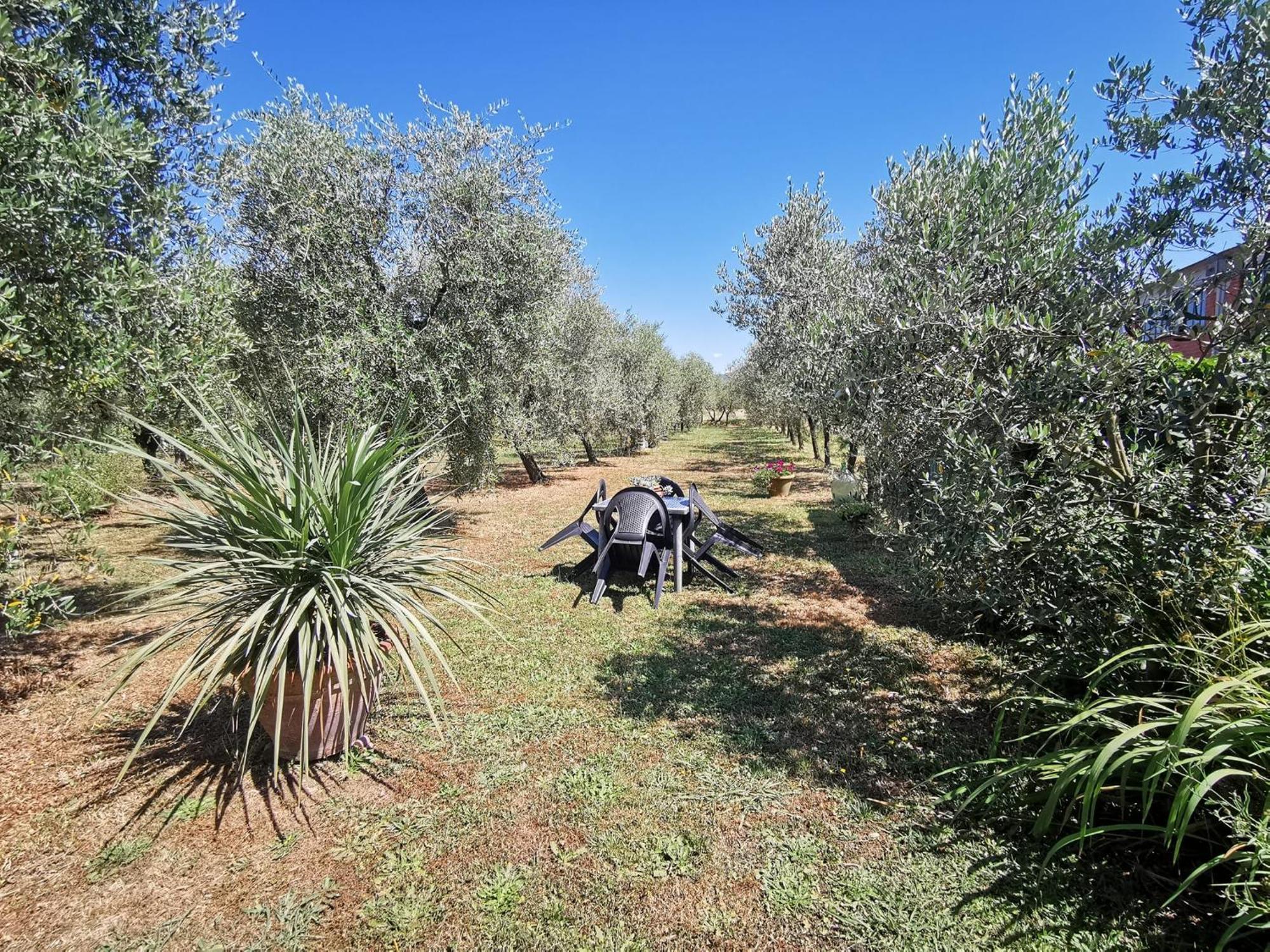 La Casa Dei Nonni Villa Larciano ภายนอก รูปภาพ