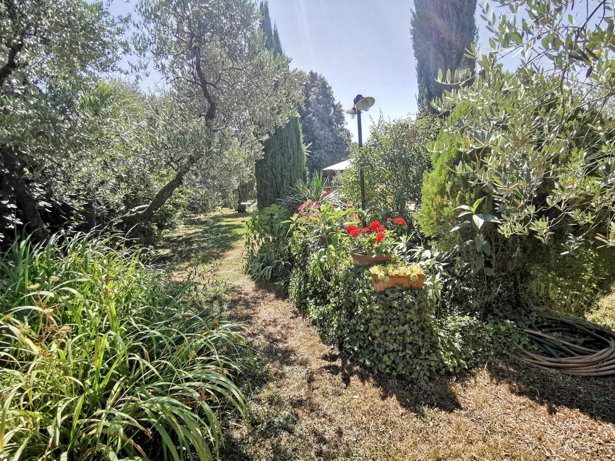 La Casa Dei Nonni Villa Larciano ภายนอก รูปภาพ